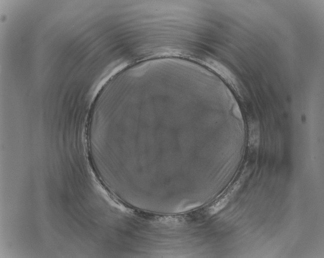 X0000076350806200610161757