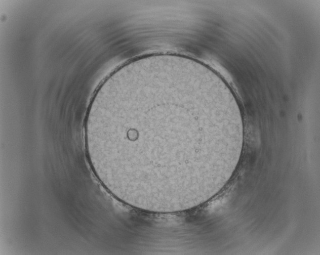 X0000076350807200610161757