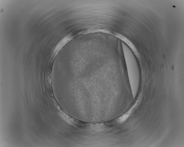 X0000076350809200610161757