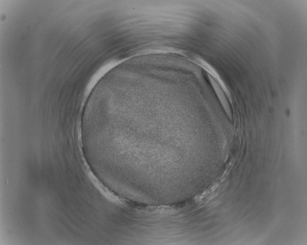 X0000076350811200610161757