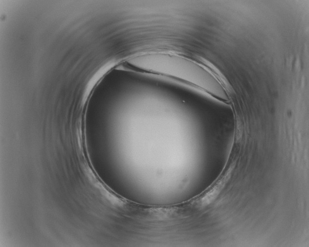 X0000076350812200610161757