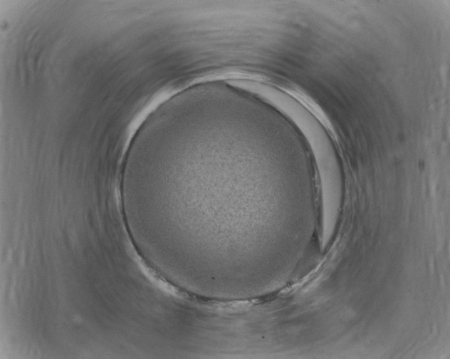 X0000076350813200610161757