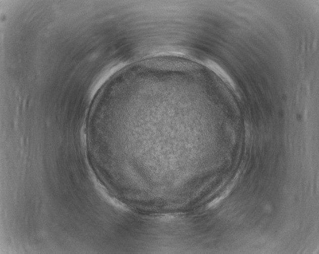 X0000076350814200610161757