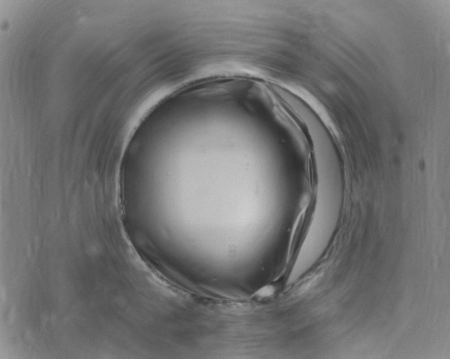 X0000076350815200610161757