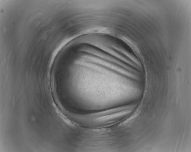 X0000076350816200610161757