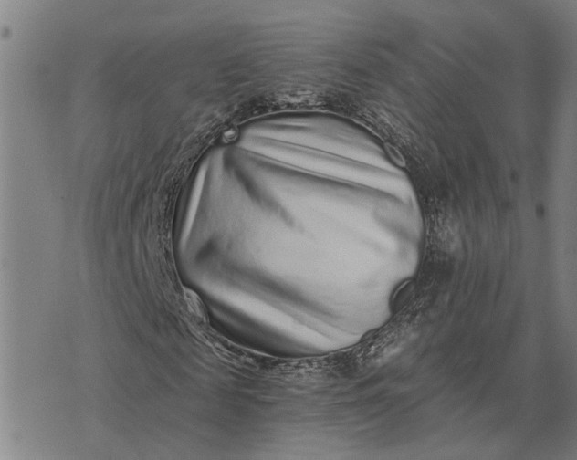 X0000076350817200610161756