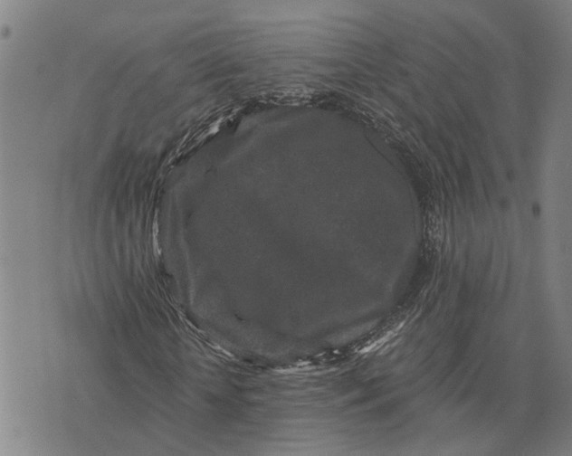 X0000076350818200610161756