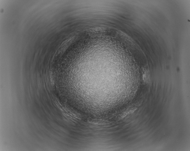 X0000076350819200610161756