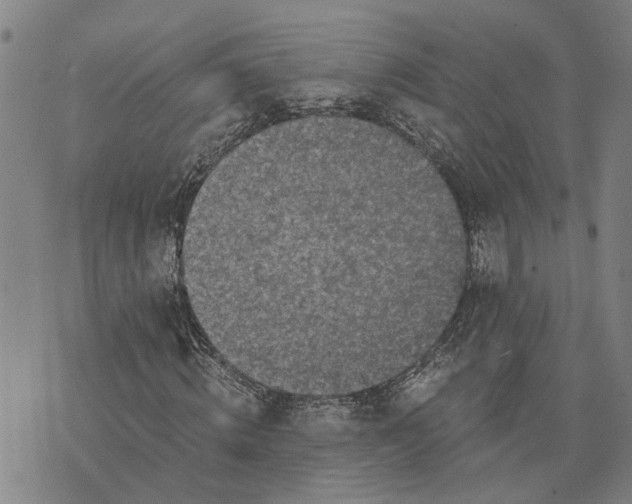 X0000076350820200610161756