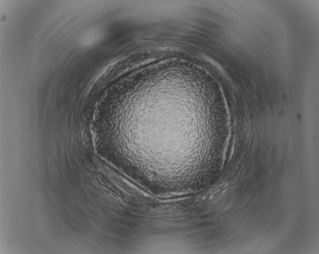 X0000076350823200610161756