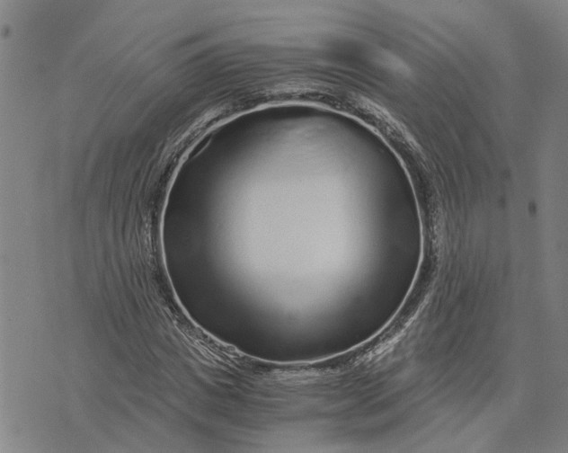 X0000076350825200610161756