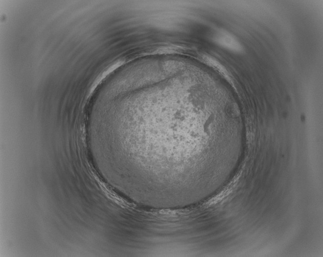 X0000076350827200610161756