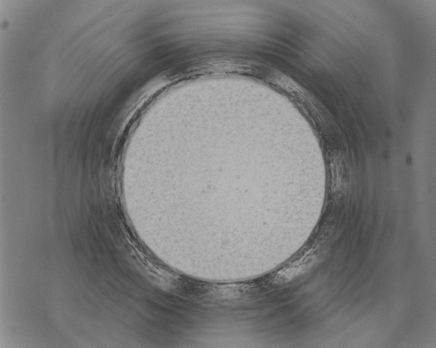 X0000076350828200610161756