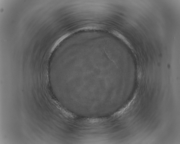 X0000076350829200610161756