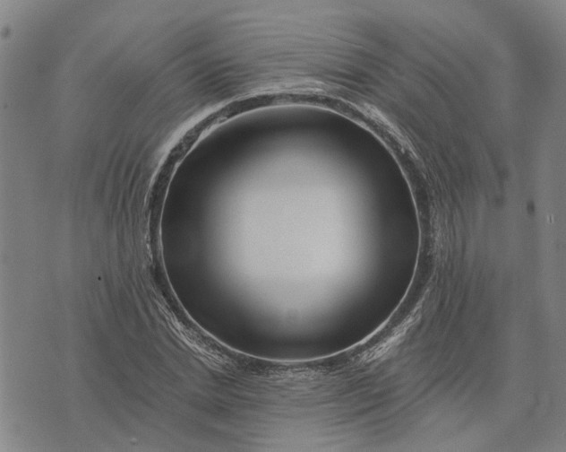 X0000076350830200610161756