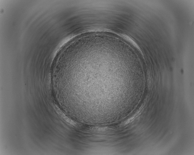 X0000076350831200610161757