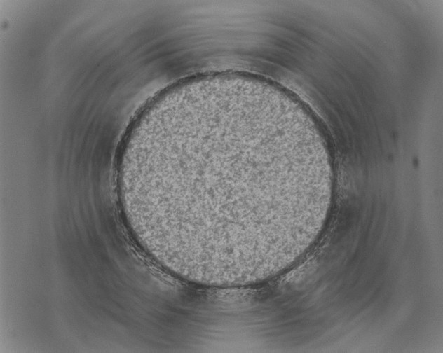 X0000076350832200610161757