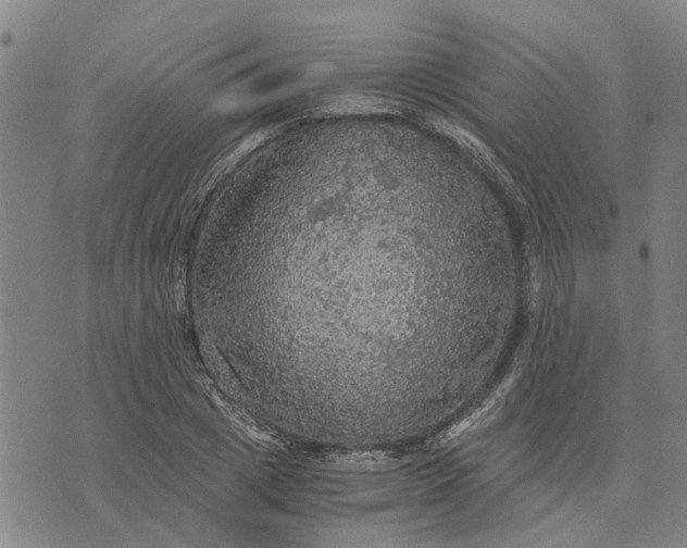 X0000076350833200610161757