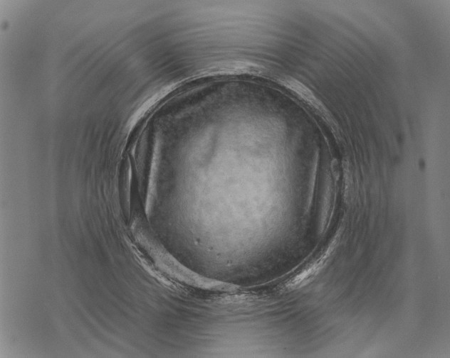 X0000076350834200610161757