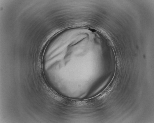 X0000076350835200610161757