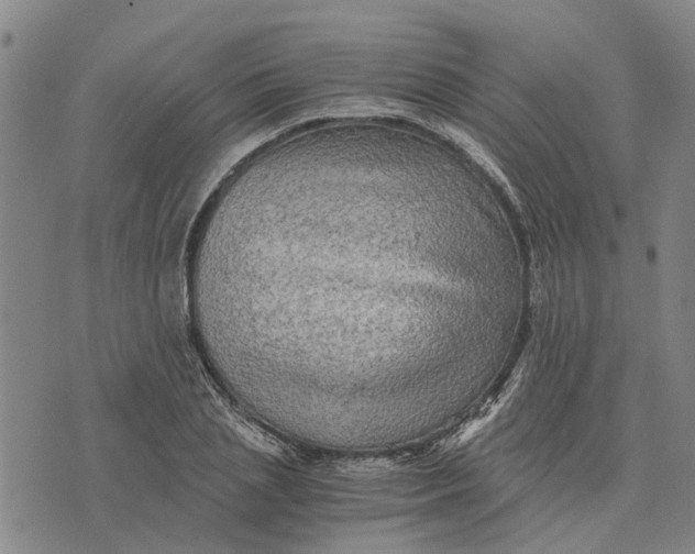 X0000076350837200610161757