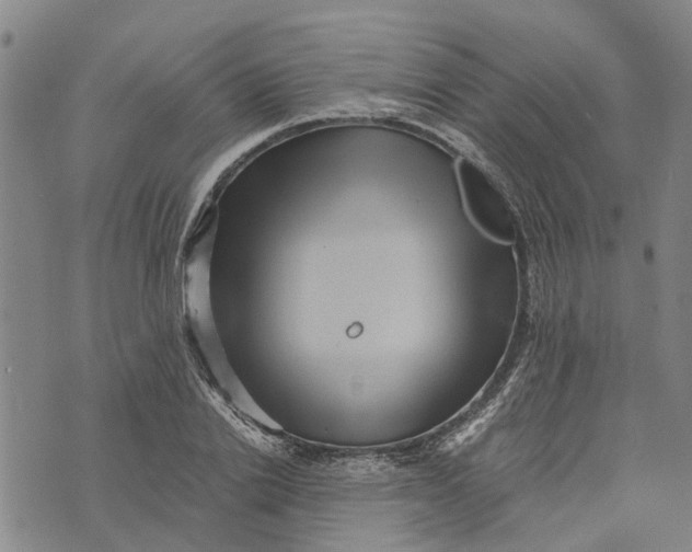 X0000076350838200610161757