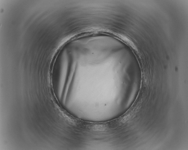 X0000076350839200610161757