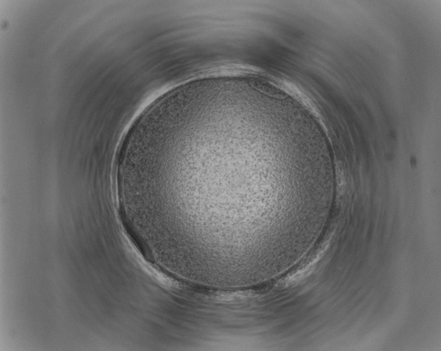 X0000076350843200610161757