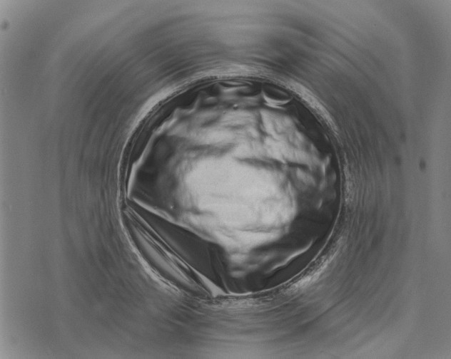 X0000076350845200610161757