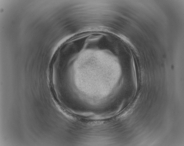 X0000076350846200610161757