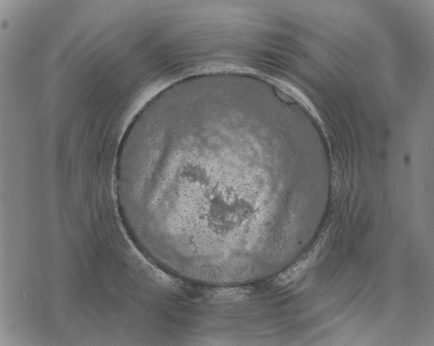 X0000076350847200610161757