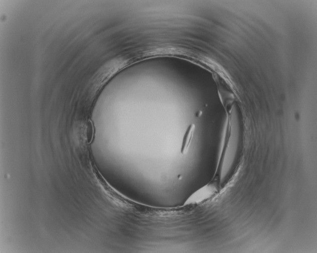 X0000076350849200610161757