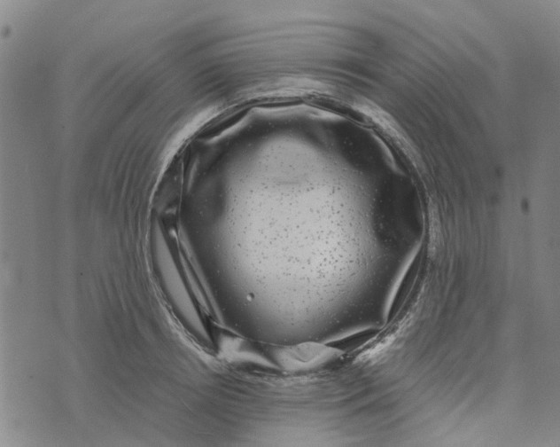 X0000076350850200610161757