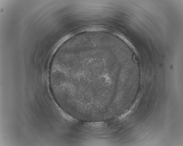 X0000076350853200610161757