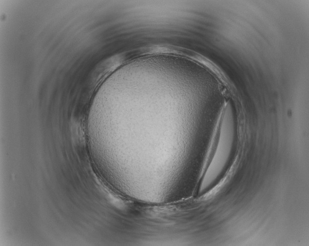 X0000076350857200610161757