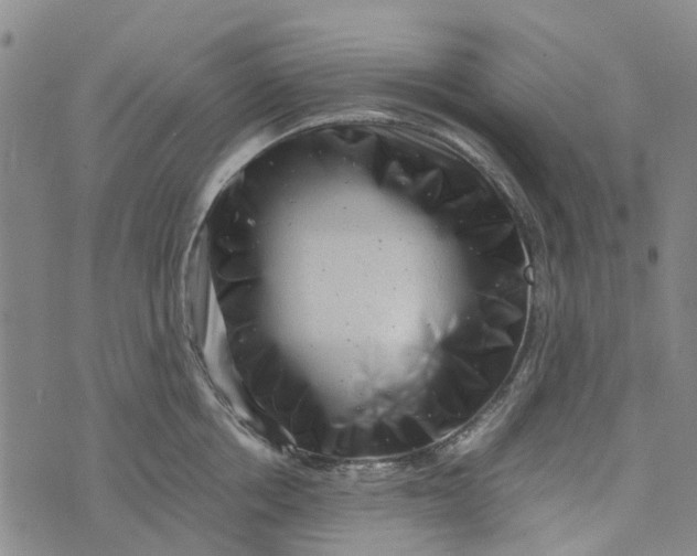 X0000076350858200610161757