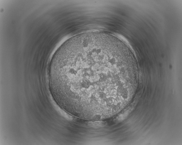 X0000076350859200610161757