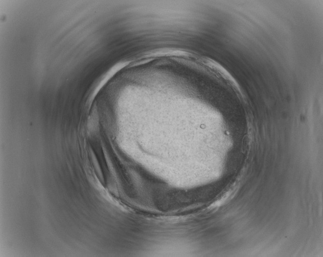 X0000076350860200610161757