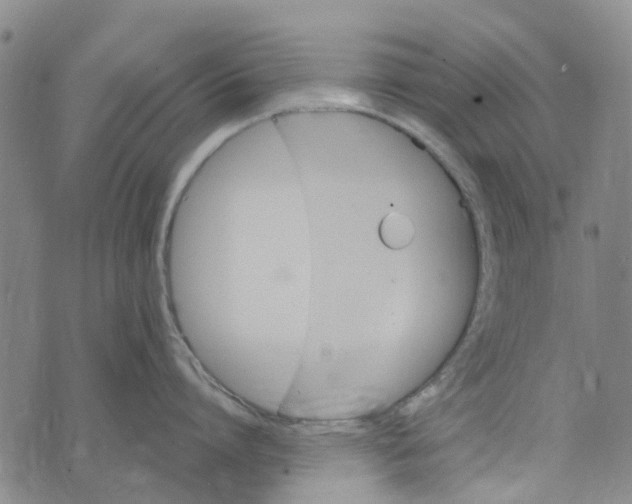 X0000076350864200610161757