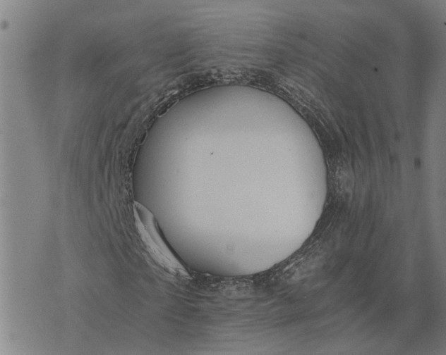 X0000076350865200610161756