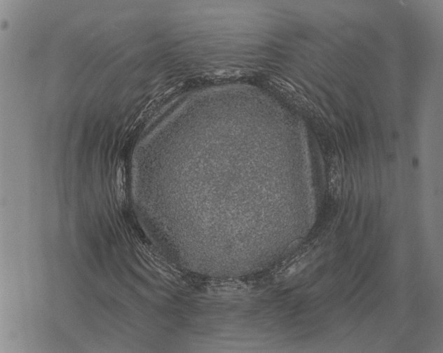 X0000076350866200610161756