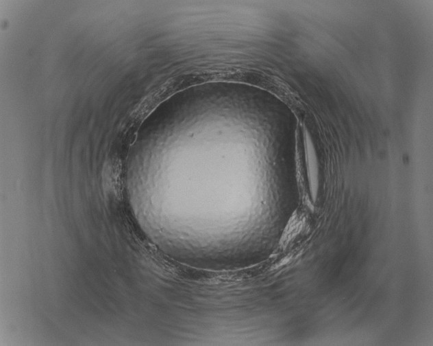 X0000076350867200610161756