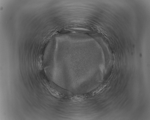 X0000076350868200610161756