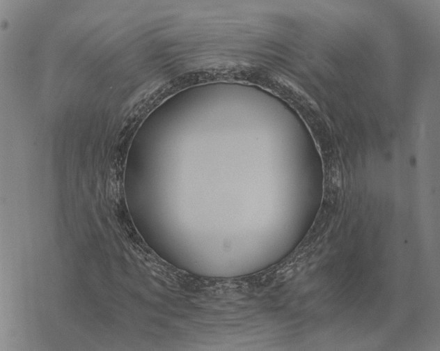 X0000076350869200610161756