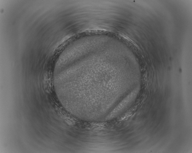 X0000076350870200610161756