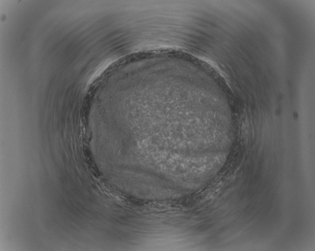 X0000076350871200610161756