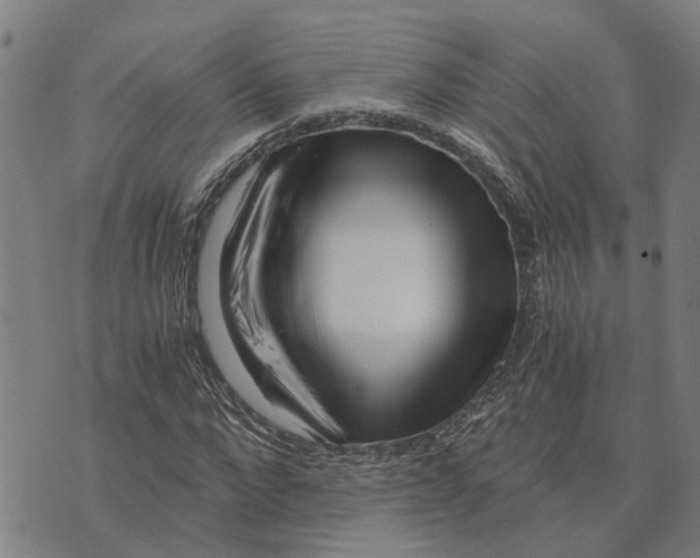 X0000076350872200610161756