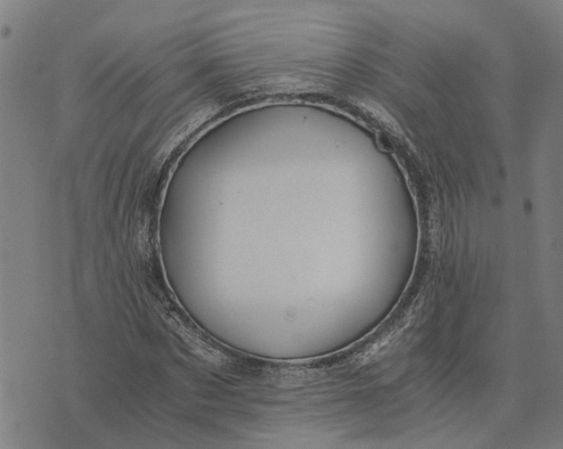 X0000076350873200610161756