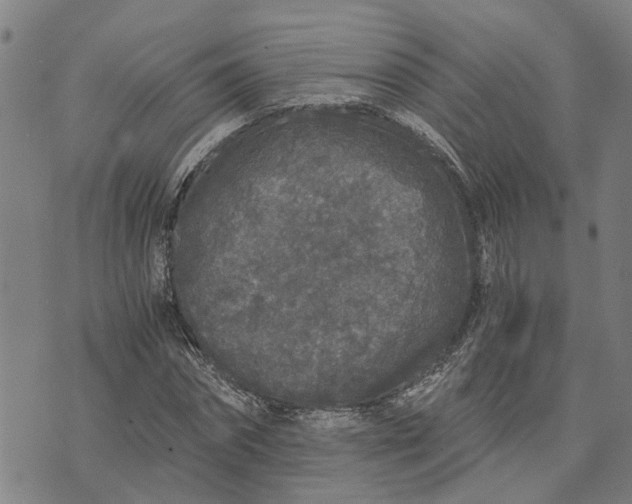 X0000076350874200610161756