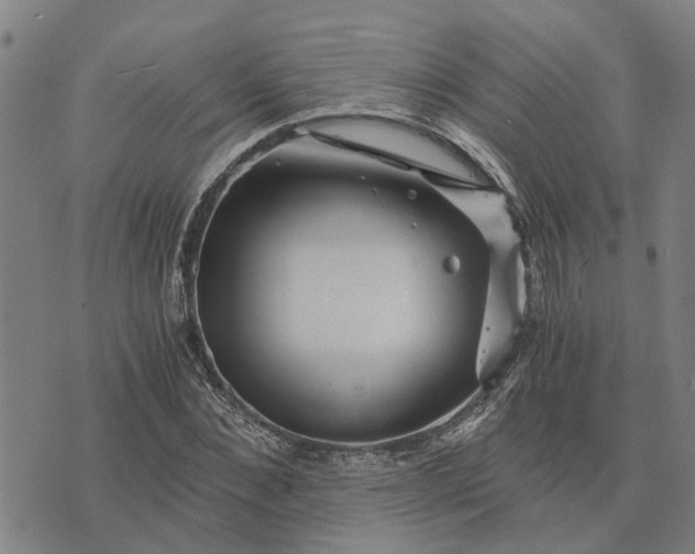 X0000076350876200610161756